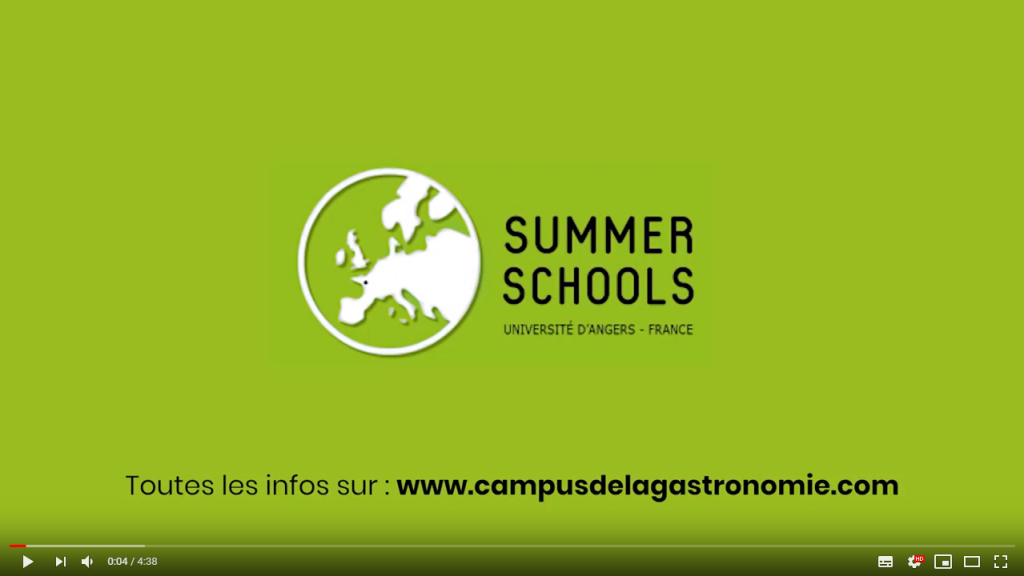 Summer School